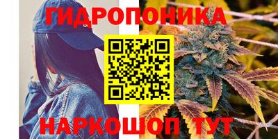 крисы Лесосибирск