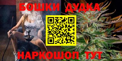 крисы Лесосибирск