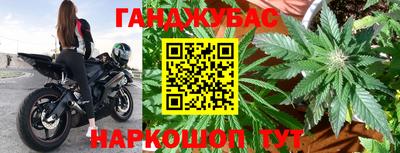 крисы Лесосибирск