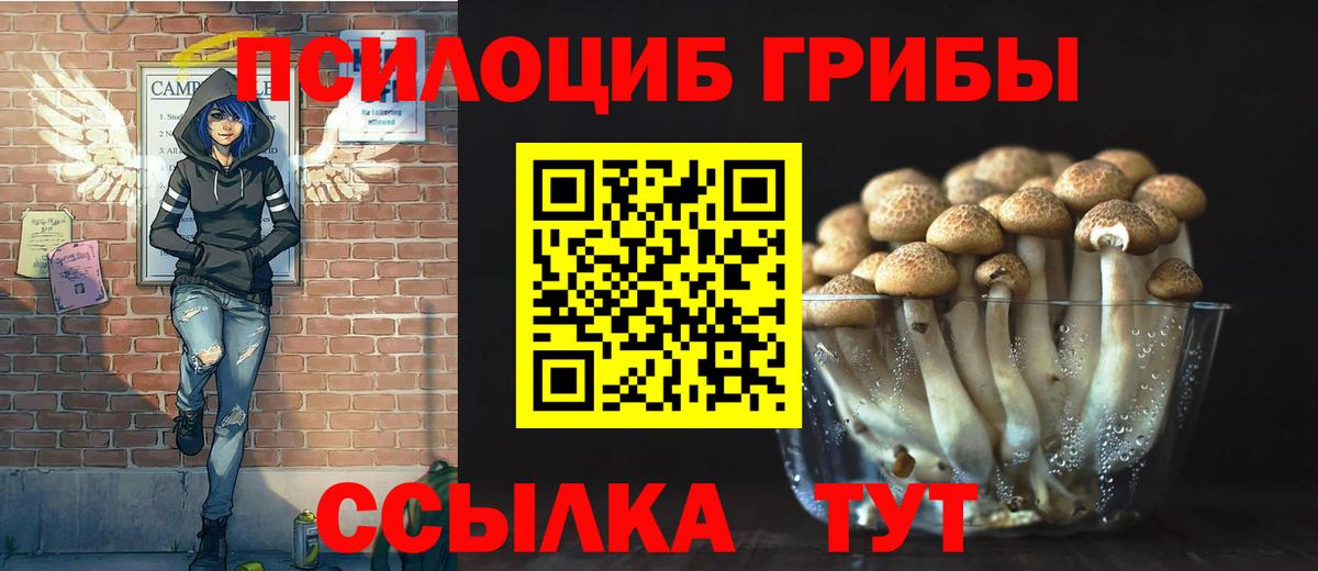 Псилоцибиновые грибы мицелий  Вход с VPN  купить  цена  Джанкой  Галлюциногенные грибы MAGIC MUSHROOMS 